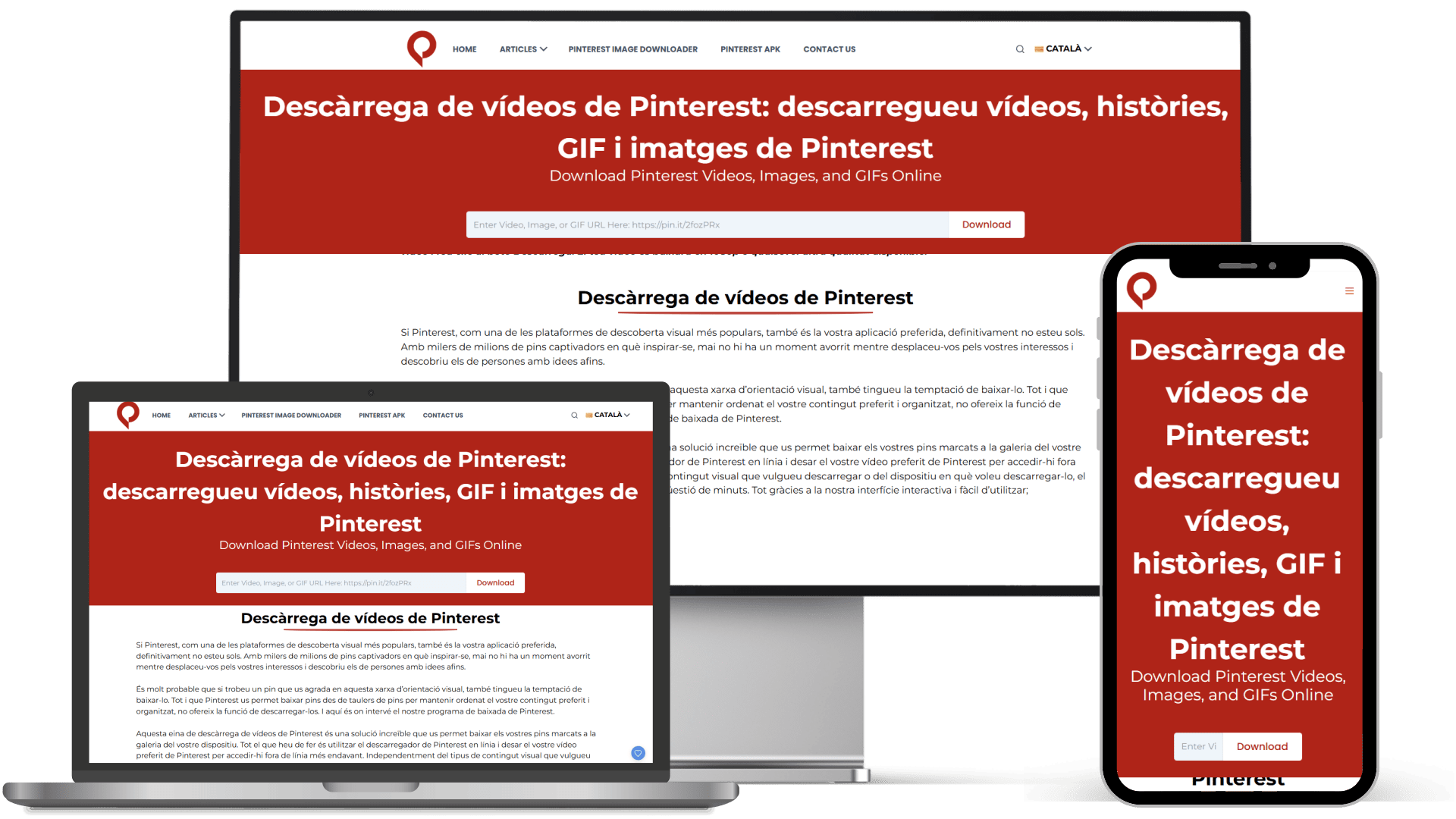 descarregar-conversor-pinterest-imatges-videos