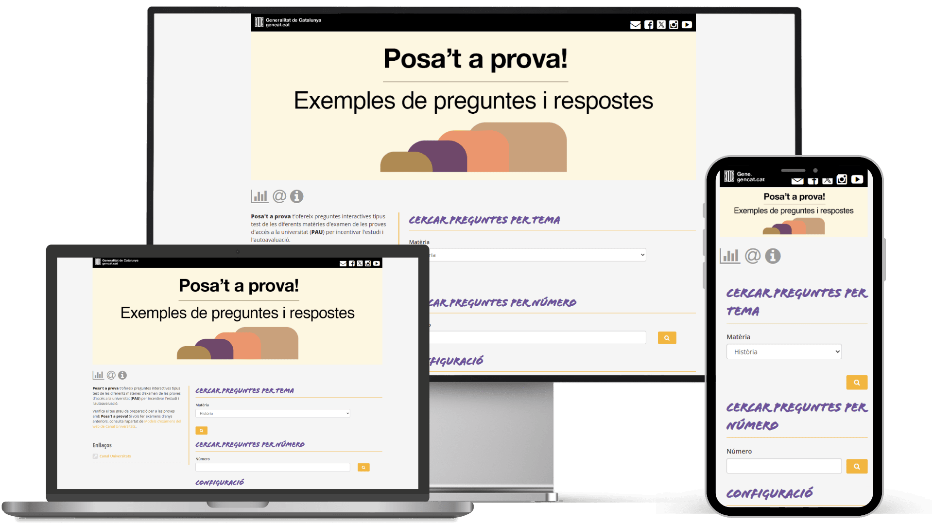 exemples-preguntes-pau-selectivitat-temes