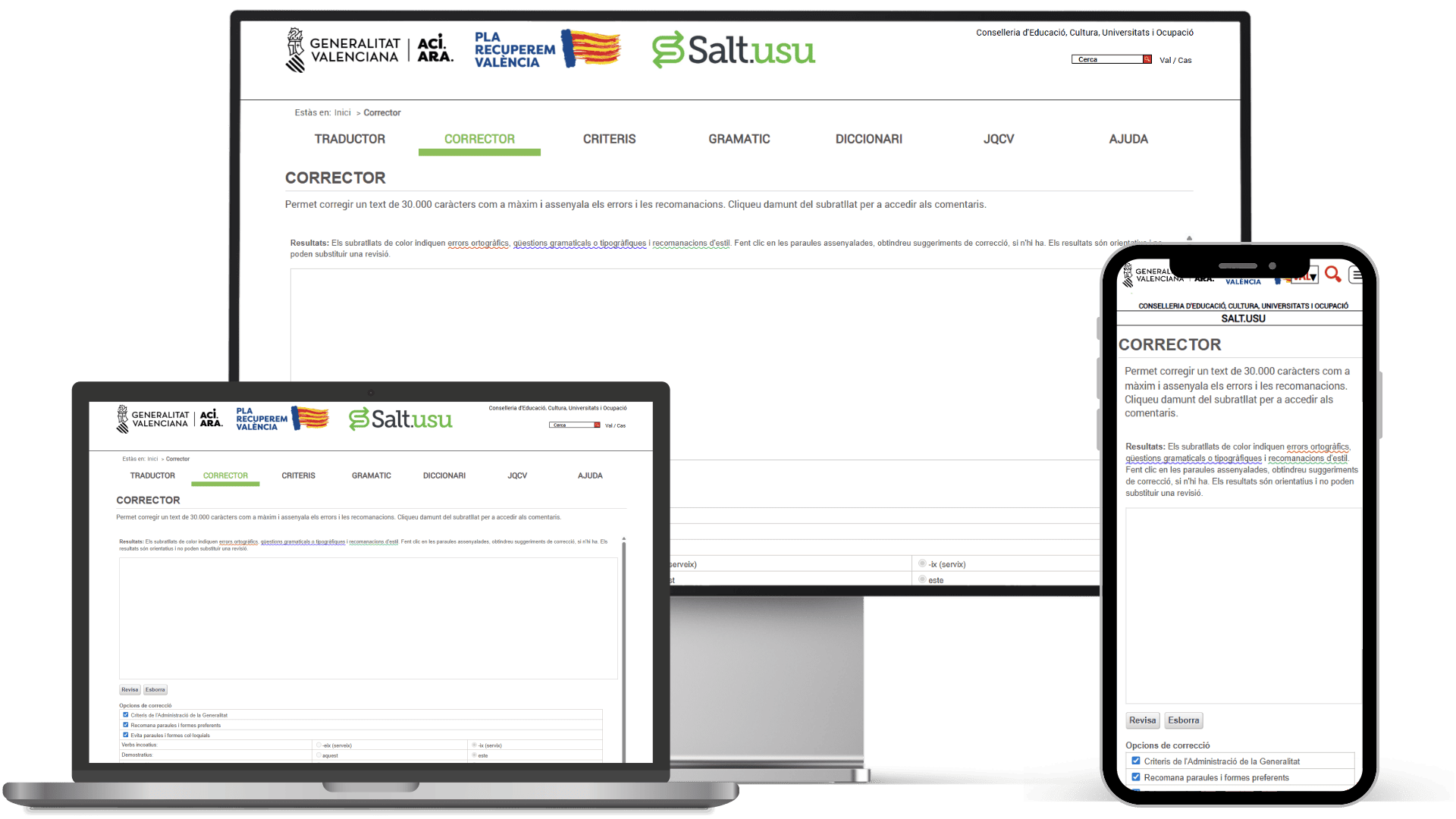 corrector-valencia-salt
