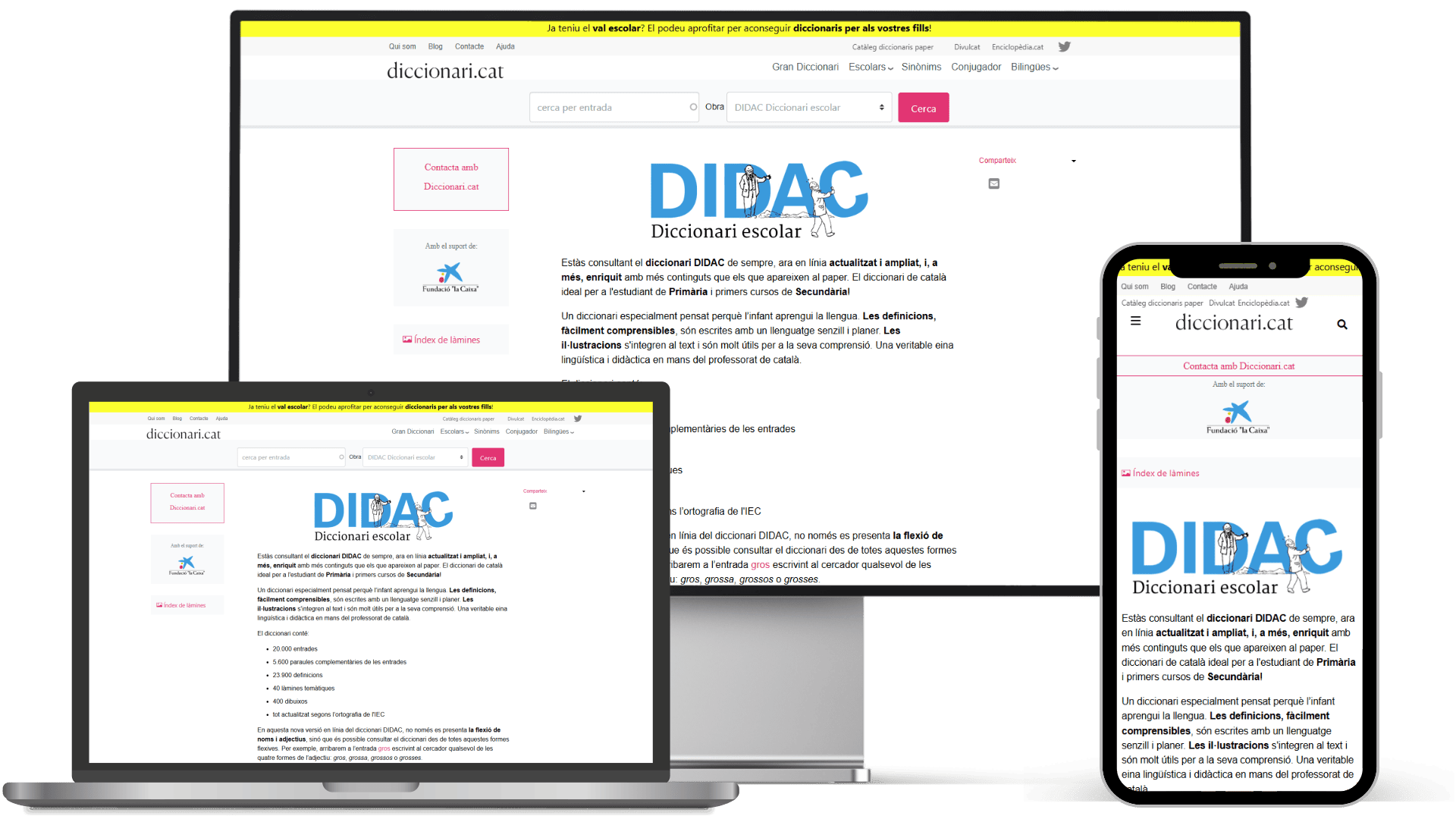 diccionari-escolar-primaria-secundaria-didac