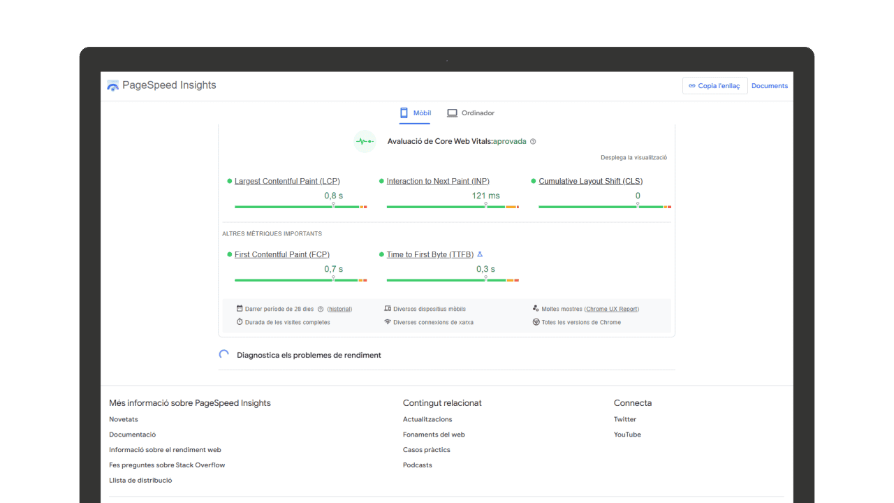 rendiment-web-velocitat-optimitzacio-page-speed