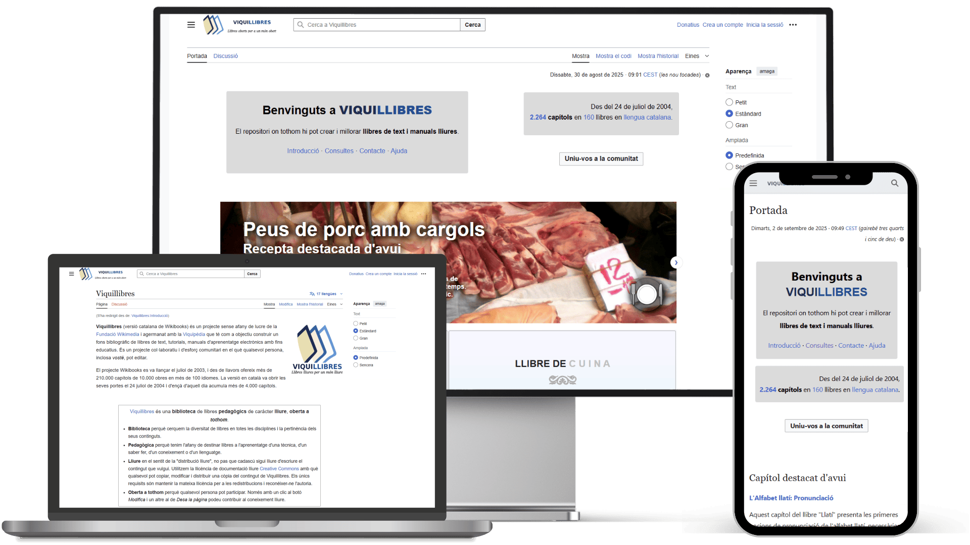 viquillibres-repositori-llibres-manuals-lliure