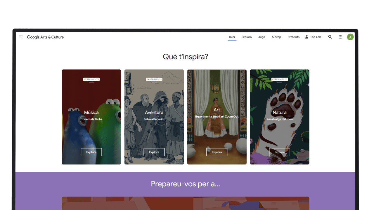 google-arts-culture-catala