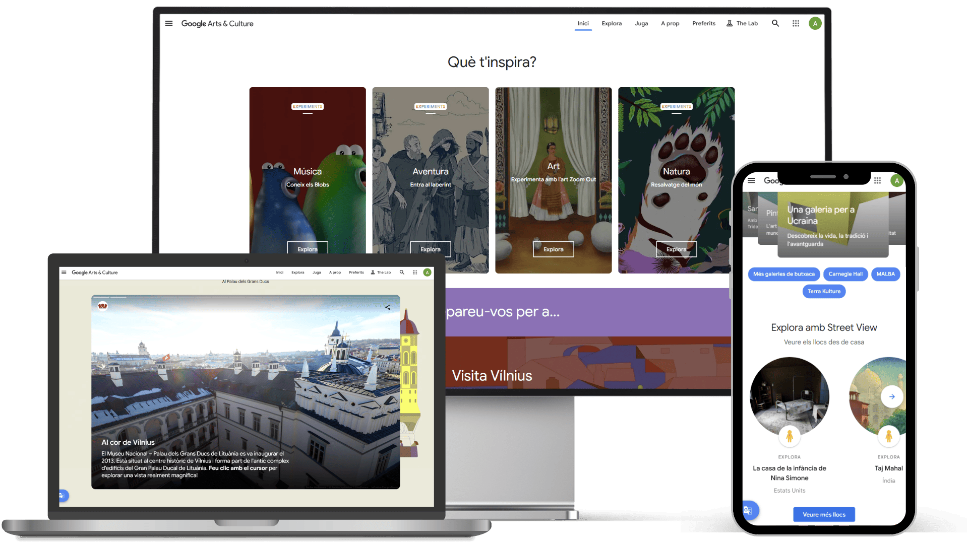 google-arts-culture-catala