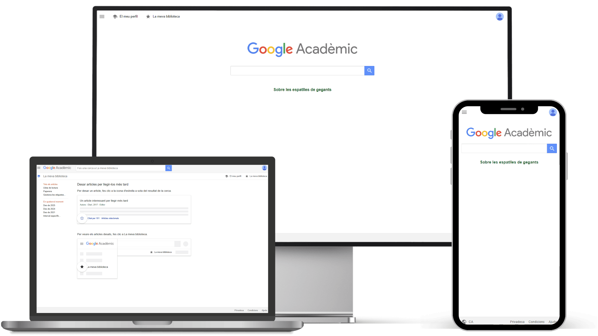 google-scholar-cerca-academica