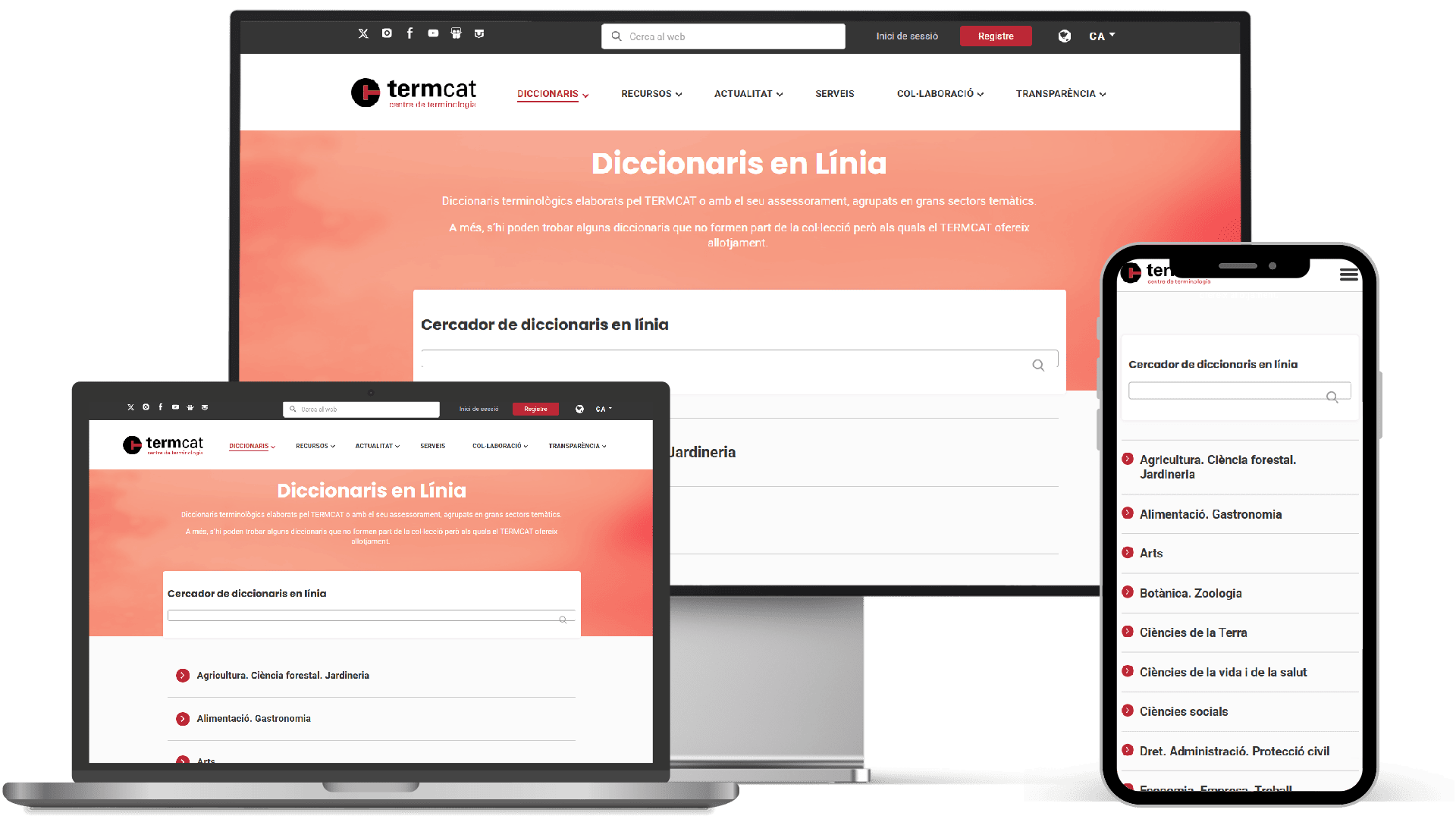 diccionais-terminologics-especialitzats-termcat