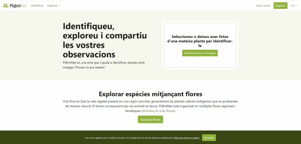plantnet-identificar-plantes-flora-arbres-imatges