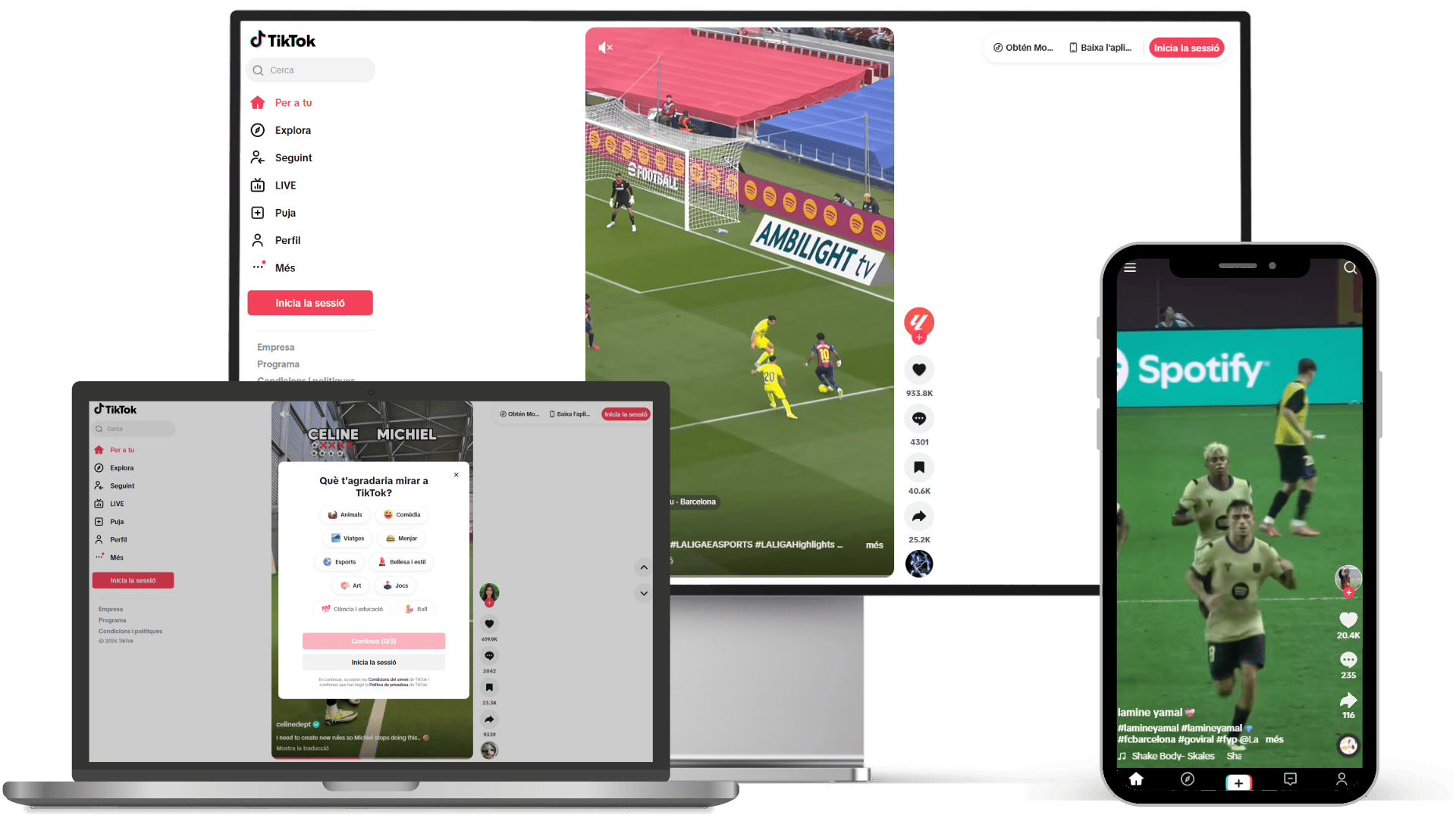 tiktok-videos-curts-reels-xarxa-social