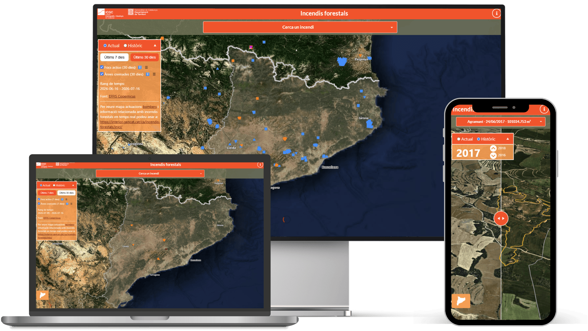 foc-al-bosc-icgc-incendis